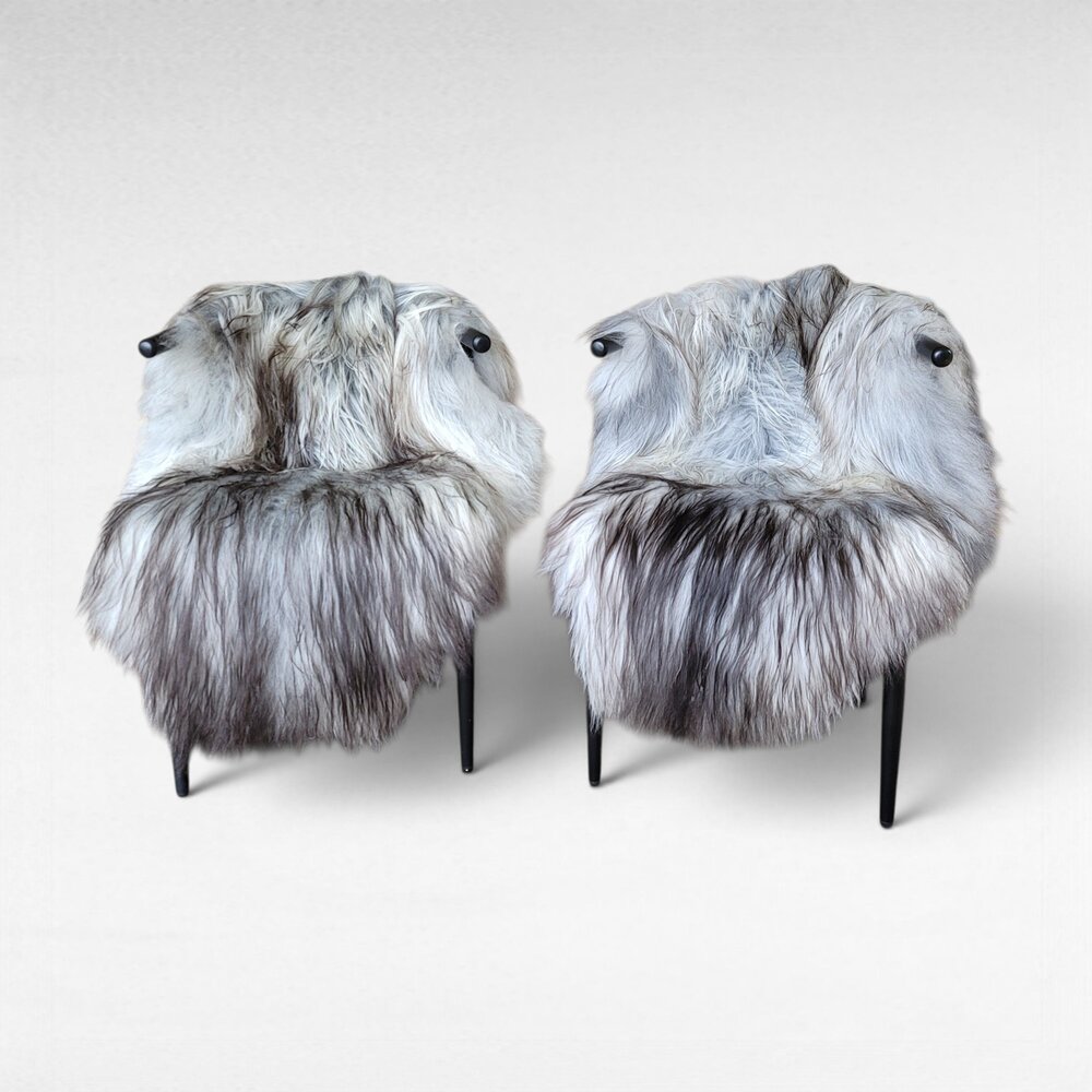 Set of 2 Genuine Icelandic Sheepskin Rugs XXL Natural Silver Moorit 56"